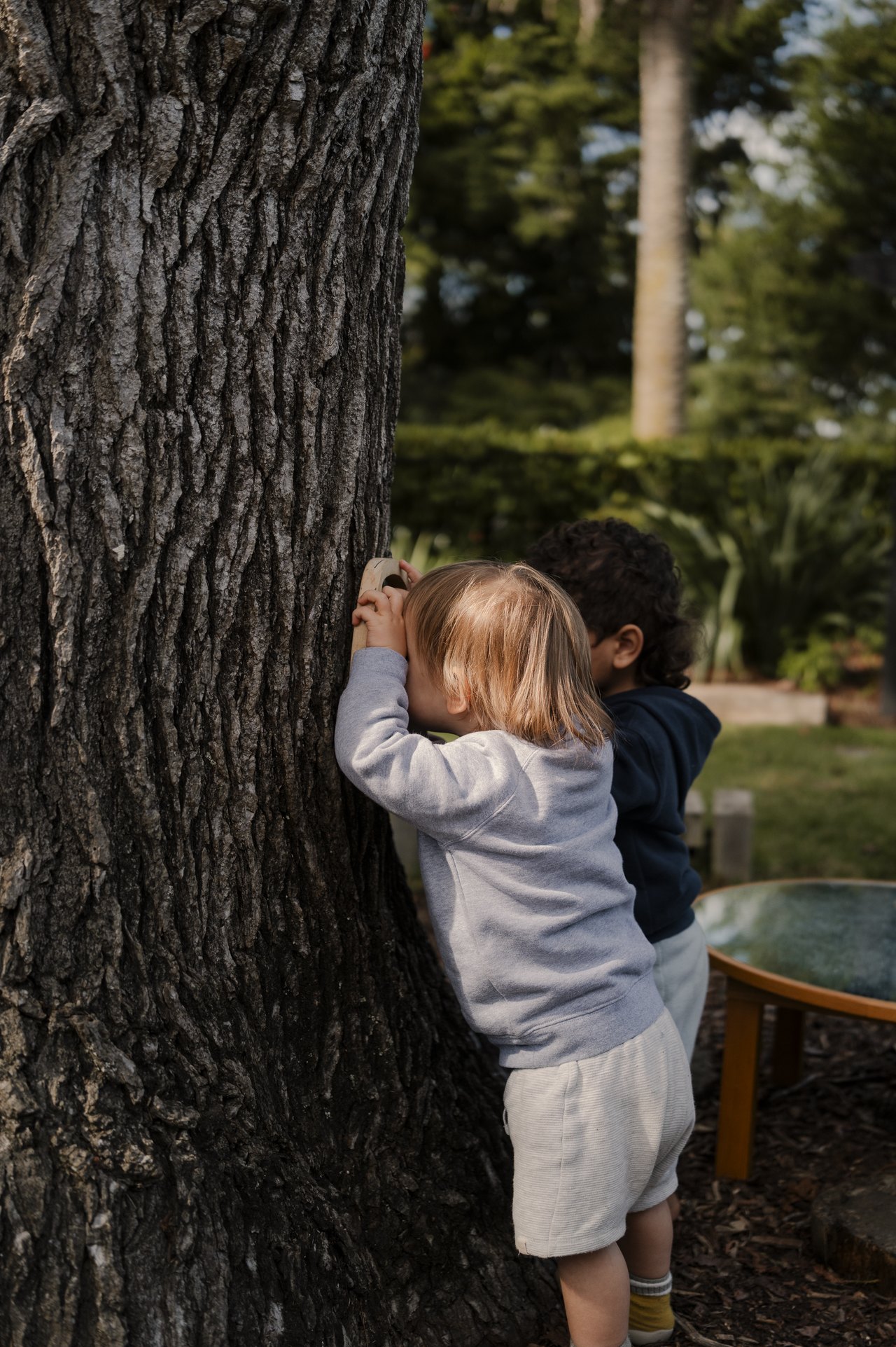 Two children exploring the bark of the old tree at Bear Park Hobsonville